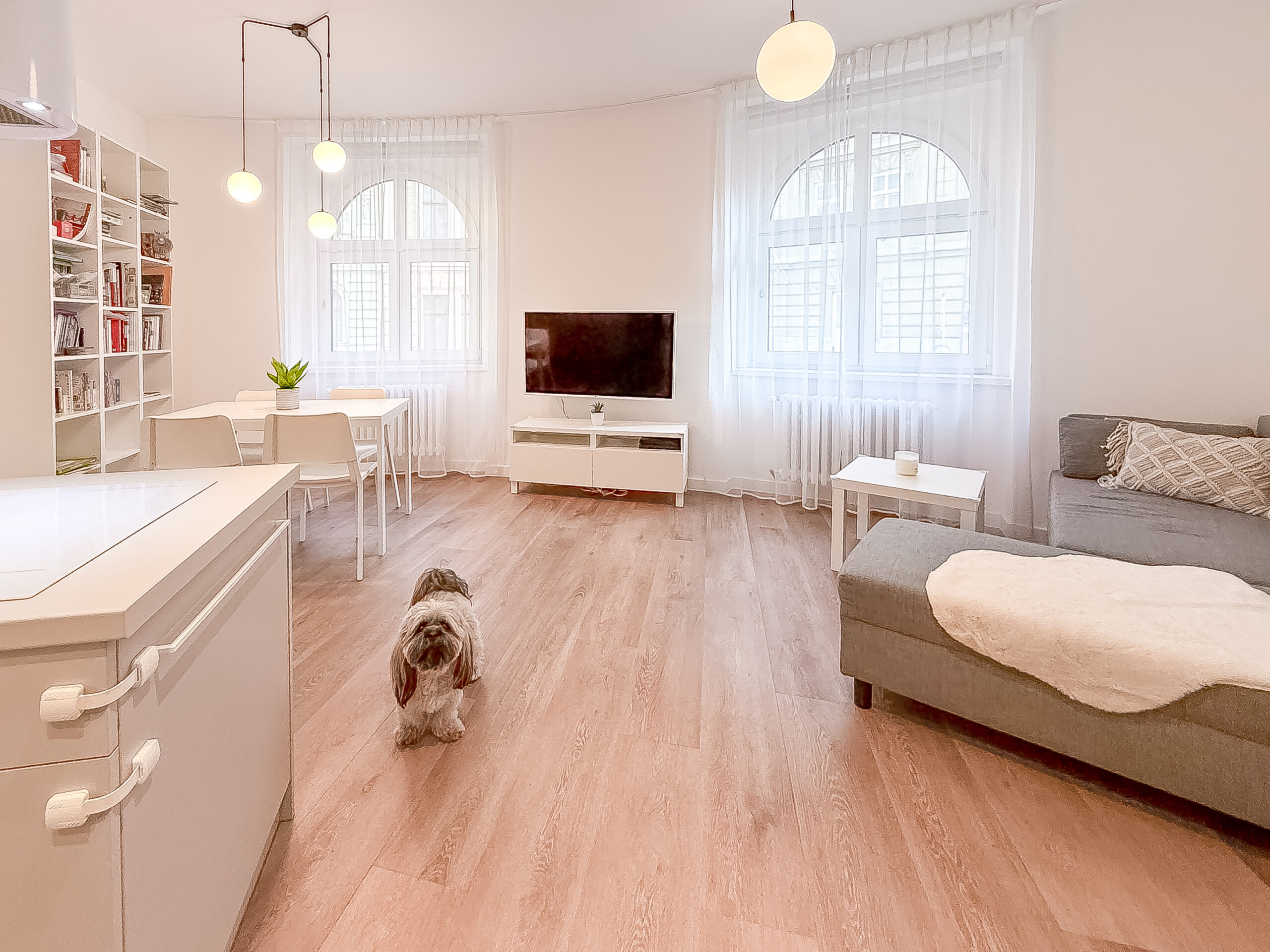 pronájem bytu 3+kk, Plzeň, reality Müller Anastasia, realitní makléřka Plzeňský kraj