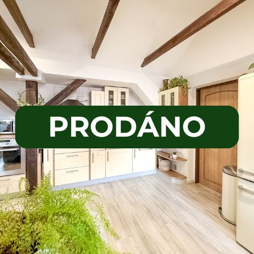 PRODANÝ BYT, REALITY MÜLLER