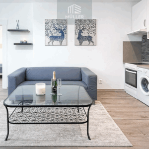 Pronájem bytu 2+kk 43 m²