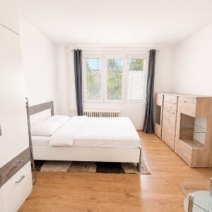 Pronájem bytu 1+1 33 m²