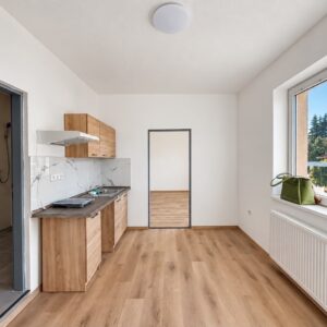 Pronájem bytu 1+1 33 m²